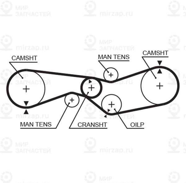 Зубчатый ремень GATES 5009