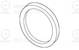 Резиновое кольцо
 BMW 13711747985