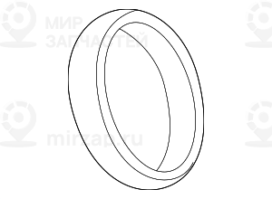 Уплотнительное кольцо
 BMW 13717503137