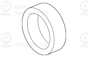уплотнительная прокладка
 BMW 13717593172