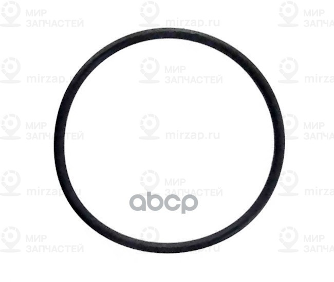 Уплотнительное Кольцо Топливного Насоса
 HYUNDAI 311233X000