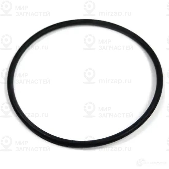 Уплотнительное кольцо D=77,0MM
 BMW 17211712965