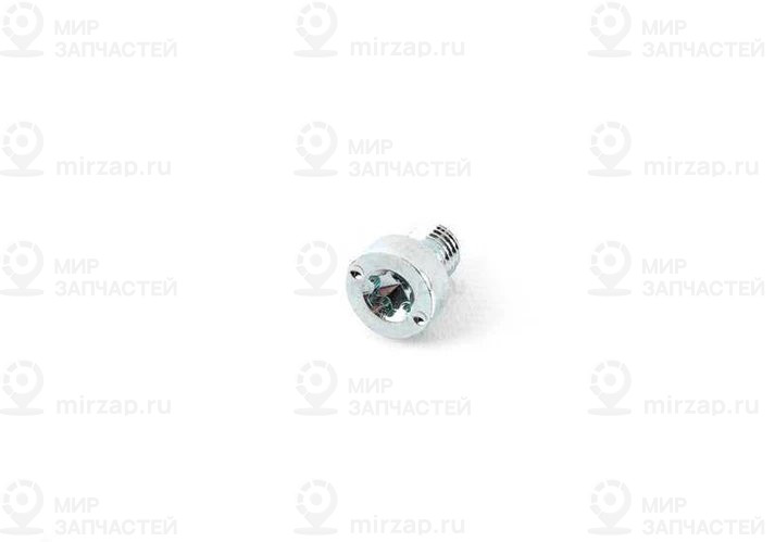 Verschlussschraube
 BMW 24148699923