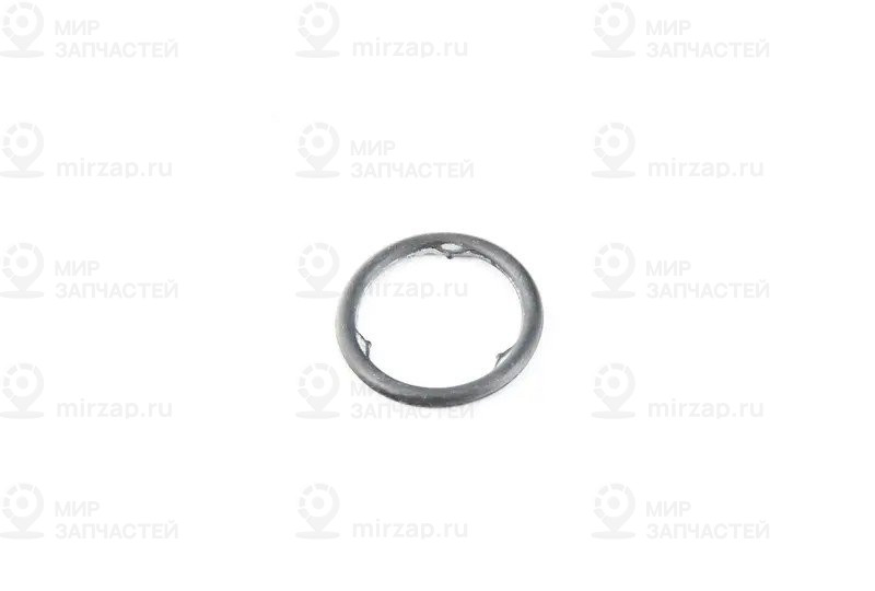 O-Ring
 BMW 24278699907