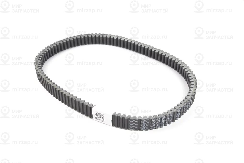 Antriebsriemen Cvt
 BMW 24828395830