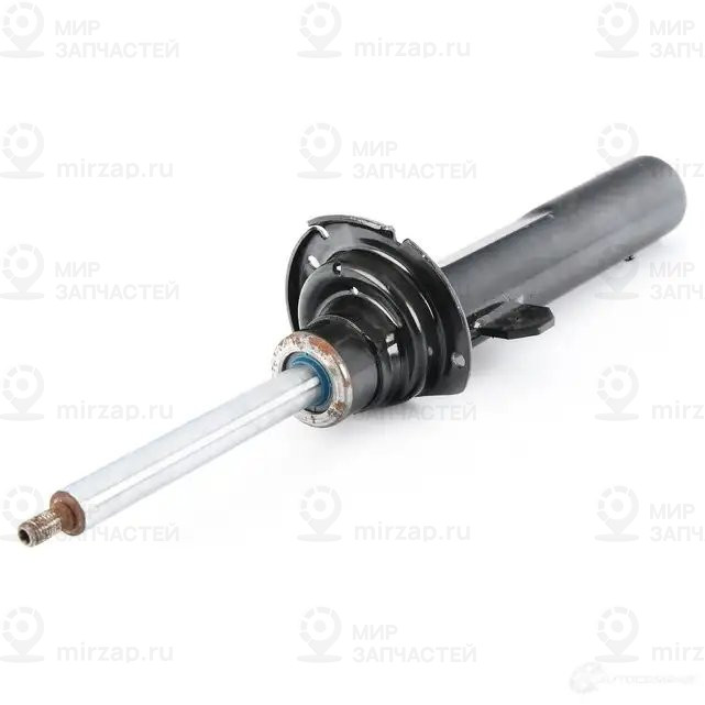 Federbein Vorn Rechts
 BMW 31306886754