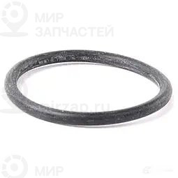 Уплотнительное кольцо
 BMW 32111116911