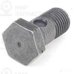 Пустотелый винт с обратным клапаном M14X1,5X27,4
BMW 32416781261