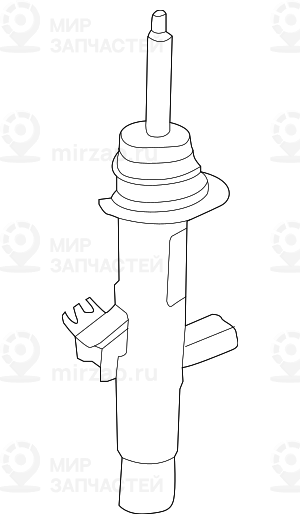Federbein Vorn Rechts
 BMW 37116883156