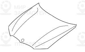 Frontklappe
 BMW 41008494445