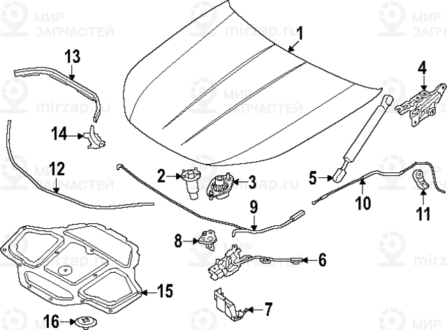Frontklappe Aluminium
 BMW 41619628638