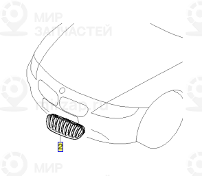 декоративная решетка Л GRAPHIT
 BMW 51117117757