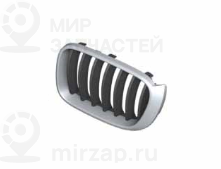 Ziergitter Front Links
 BMW 51117338571