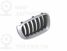 Ziergitter Front Rechts
 BMW 51117338572