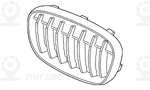 Ziergitter Front Links
 BMW 51117383363