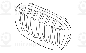 Ziergitter Front Links
 BMW 51117383365