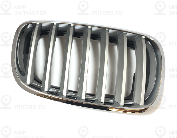 Декоративная решетка П Пд TITAN 2
 BMW 51137185224