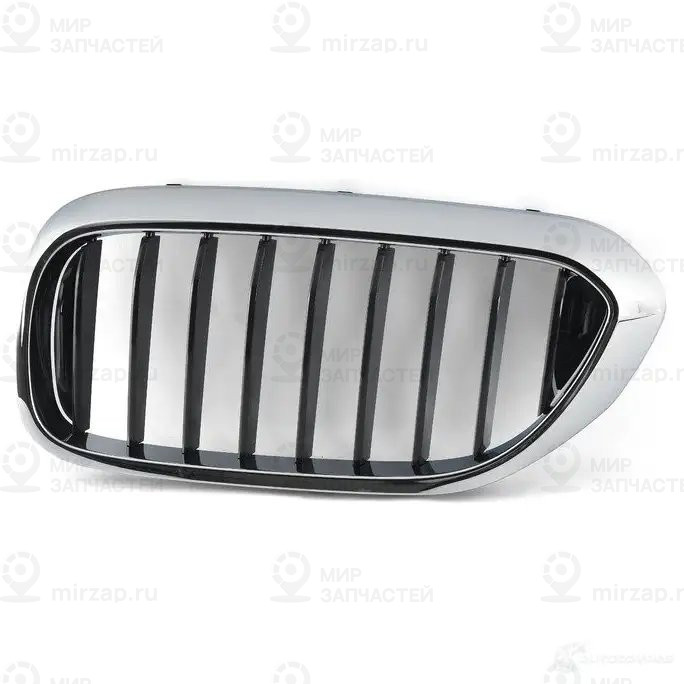 Ziergitter Front Links
 BMW 51137390863