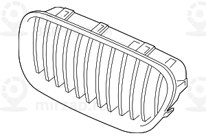 Ziergitter Front Links
 BMW 51137412323