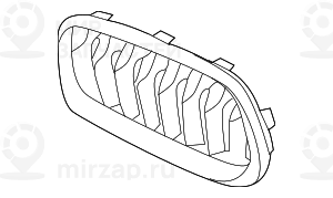 Ziergitter Front Links
 BMW 51137424777