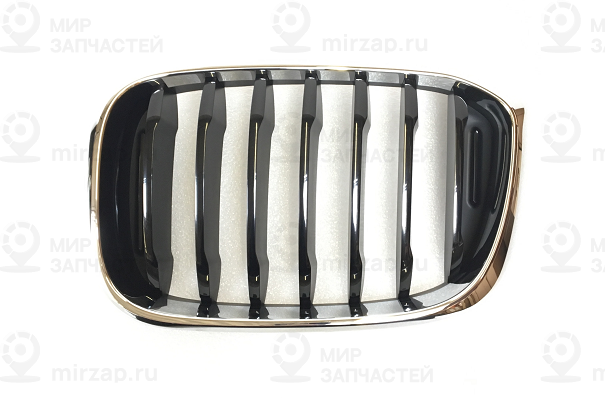 Ziergitter Front Links
 BMW 51137440853
