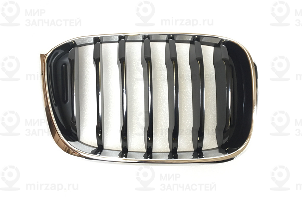 Ziergitter Front Rechts
 BMW 51137440854