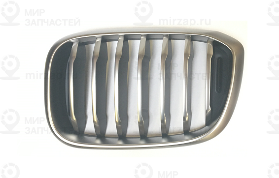 Ziergitter Front Links
BMW 51137464921