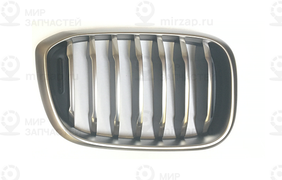 Ziergitter Front Rechts
 BMW 51137464922