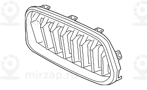 Ziergitter Front Rechts
 BMW 51138070222