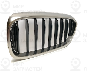 Ziergitter Front Links
 BMW 51138070469