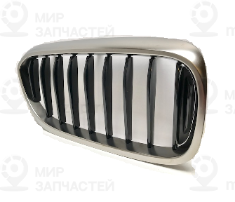 Ziergitter Front Rechts
 BMW 51138070470