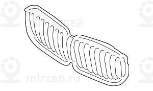 Ziergitter Front
 BMW 51138079728