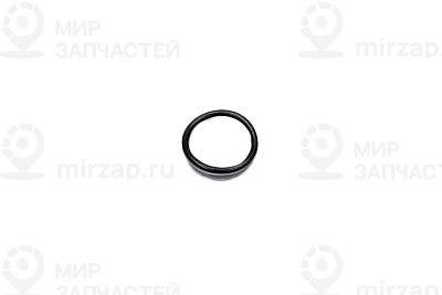 Кольцо уплотнительное
Mercedes-Benz A0000170300
