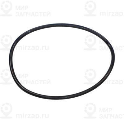 Уплотнительное кольцо
 Mercedes-Benz A0159976145