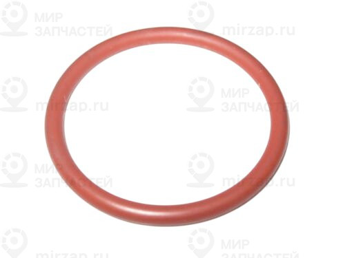 Уплотнит. кольцо
 Mercedes-Benz A0179972148