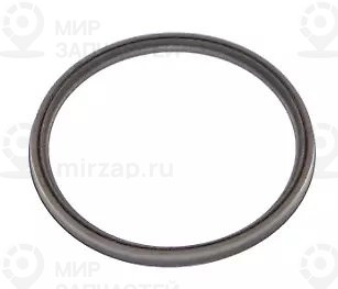 Уплотнительное кольцо
 Mercedes-Benz A0219976445
