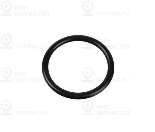 Уплотнительное кольцо
 Mercedes-Benz A0249976345