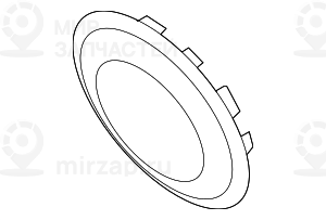 Накладка динамика Л GRAU
 BMW 51436975513