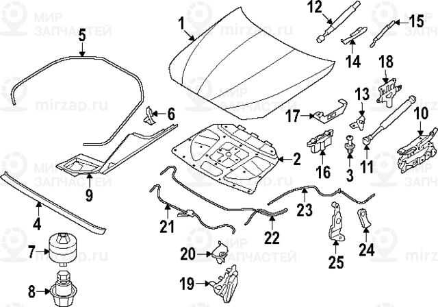 Звукоизоляция капота
 BMW 51486989301
