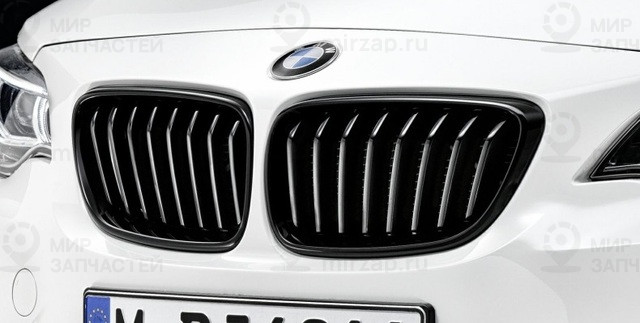 Решетка Радиатора M Perf Лв
 BMW 51712336815