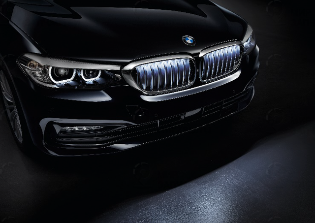Комплект Решеток Радиатора
 BMW 63172466430