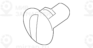 Подсветка отделения в двери Зд SCHWARZ
 BMW 63316927006
