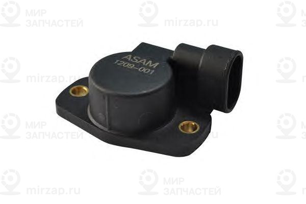 Запчасть ASAM 30813