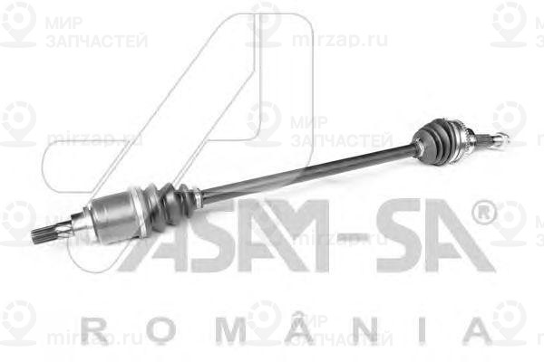 Запчасть ASAM 30954