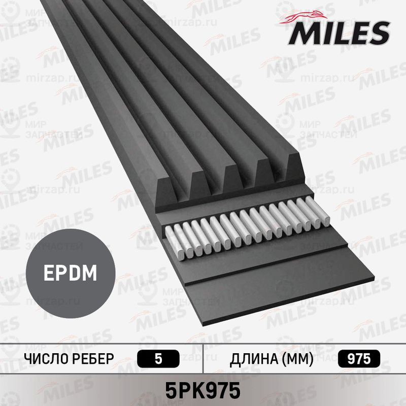 Поликлиновой ремень MILES 5PK975