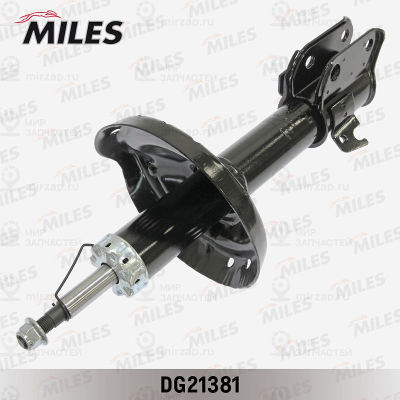 Запчасть MILES DG21381