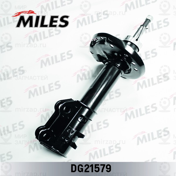 Запчасть MILES DG21579