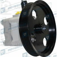 Запчасть MotorHerz P1113HG