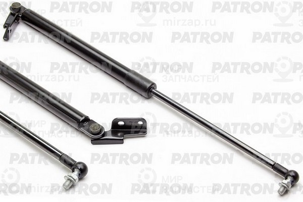 Запчасть PATRON PGS100038