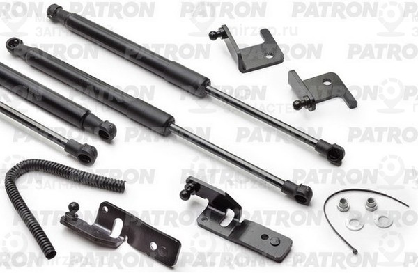 Запчасть PATRON PGS100130